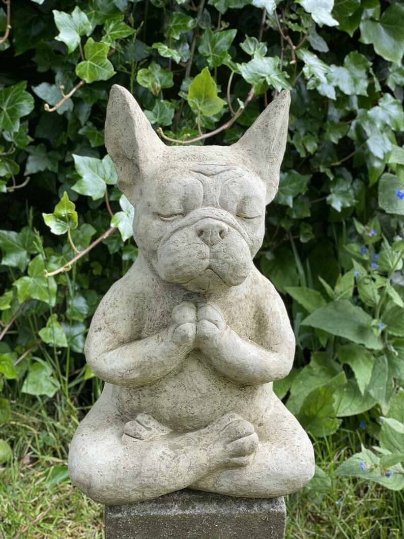 Meditierende Französische Bulldogge