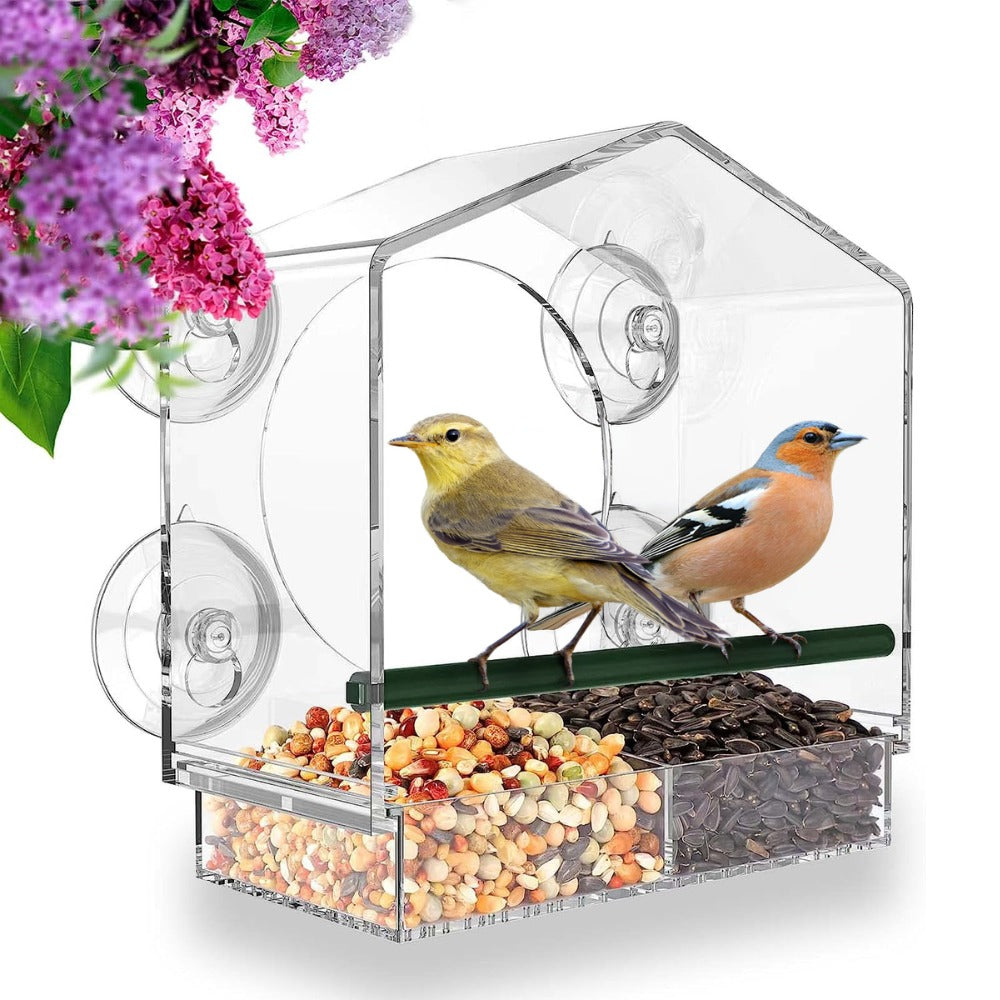 BirdBungalow™ | Fenstermontierte Vogelfutterstelle