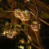 TropicalTwilight™ | Hängende Ananas Solar Laterne