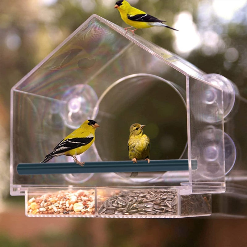 BirdBungalow™ | Fenstermontierte Vogelfutterstelle