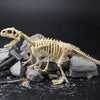 Laden Sie das Bild in den Galerie-Viewer, 50% RABATT | Dinosaurier Fossilien Ausgrabungsset