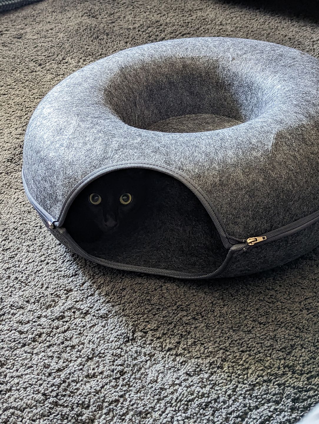 KittyHut™ | Bequemes & Stilvolles Katzenhöhlenbett