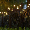 Laden Sie das Bild in den Galerie-Viewer, Magische Glühwürmchen Garten Lichter™ (6 LED Kugeln)